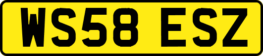 WS58ESZ