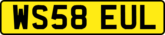 WS58EUL