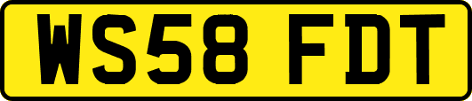 WS58FDT