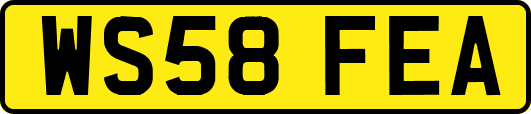 WS58FEA