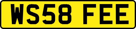 WS58FEE