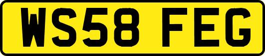 WS58FEG