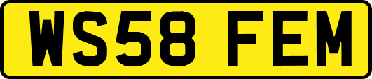 WS58FEM