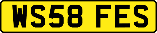 WS58FES