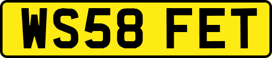 WS58FET