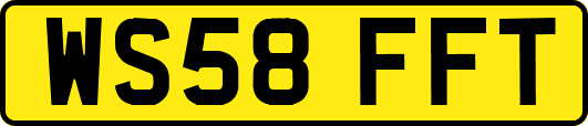 WS58FFT