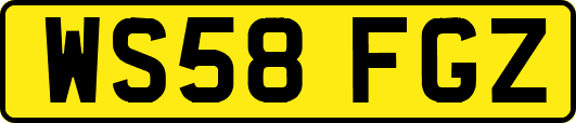 WS58FGZ