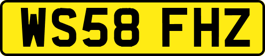 WS58FHZ