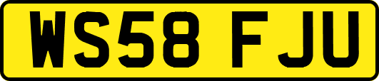 WS58FJU