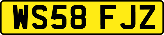 WS58FJZ