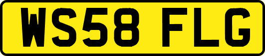 WS58FLG