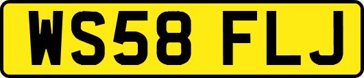 WS58FLJ