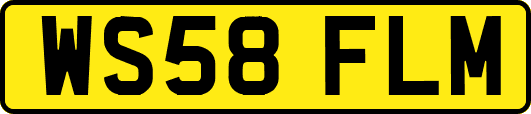WS58FLM