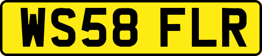 WS58FLR