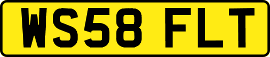 WS58FLT