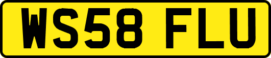 WS58FLU