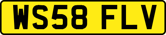 WS58FLV