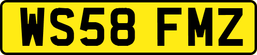 WS58FMZ