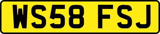 WS58FSJ