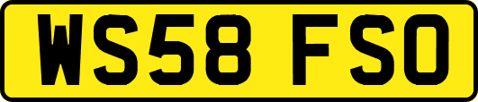 WS58FSO