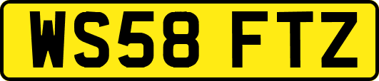 WS58FTZ