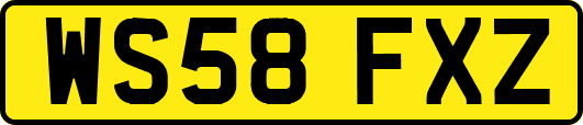 WS58FXZ