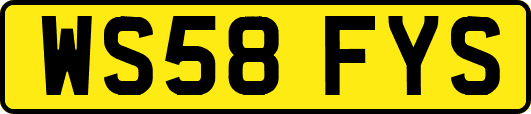 WS58FYS
