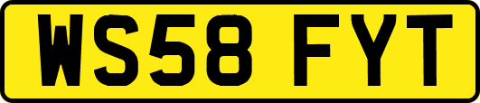 WS58FYT
