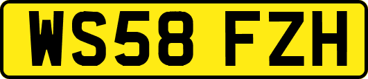 WS58FZH