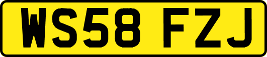 WS58FZJ
