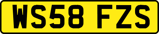 WS58FZS