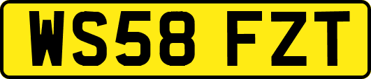 WS58FZT