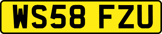 WS58FZU