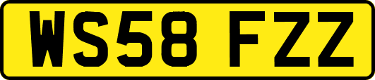 WS58FZZ