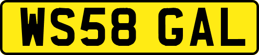 WS58GAL