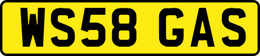 WS58GAS