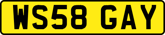 WS58GAY