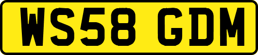 WS58GDM