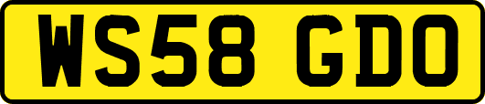 WS58GDO