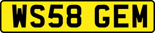 WS58GEM