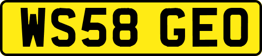 WS58GEO