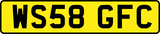 WS58GFC