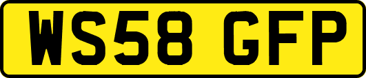 WS58GFP