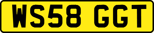 WS58GGT