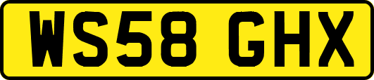WS58GHX