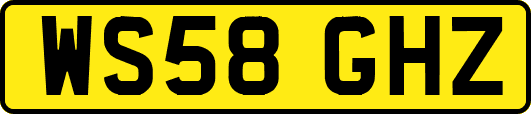 WS58GHZ