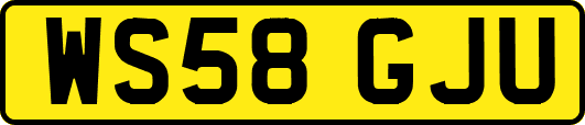 WS58GJU