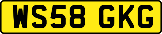 WS58GKG