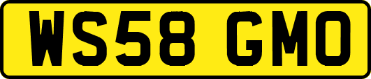 WS58GMO