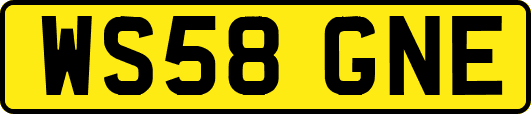 WS58GNE